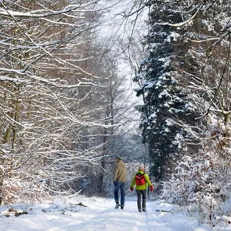 O Tour! - Citadin Nyaraló